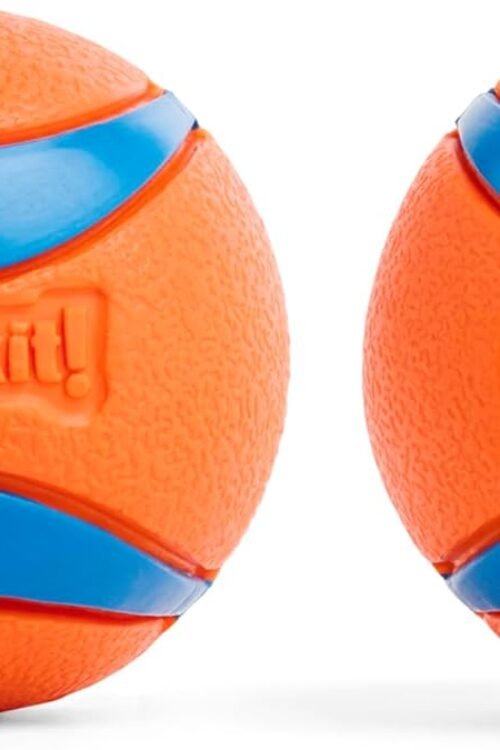 ChuckIt! Ultra Ball Dog Toy, Durable High Bounce Floating Rubber Dog Ball, Launcher Compatible Toy For Dogs, 2 Pack, Medium