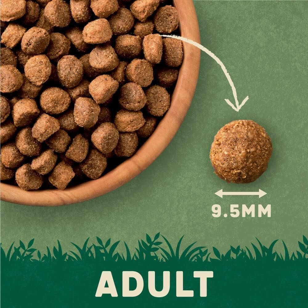 Harringtons Lamb & Rice 15kg - Image 5