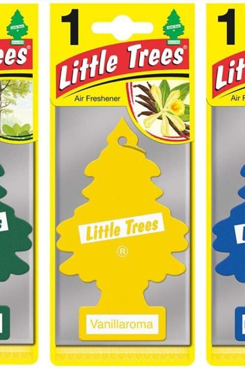 Little Trees Air Freshener, Traditional Fragrances, Pack of 3 (Packaging may vary)